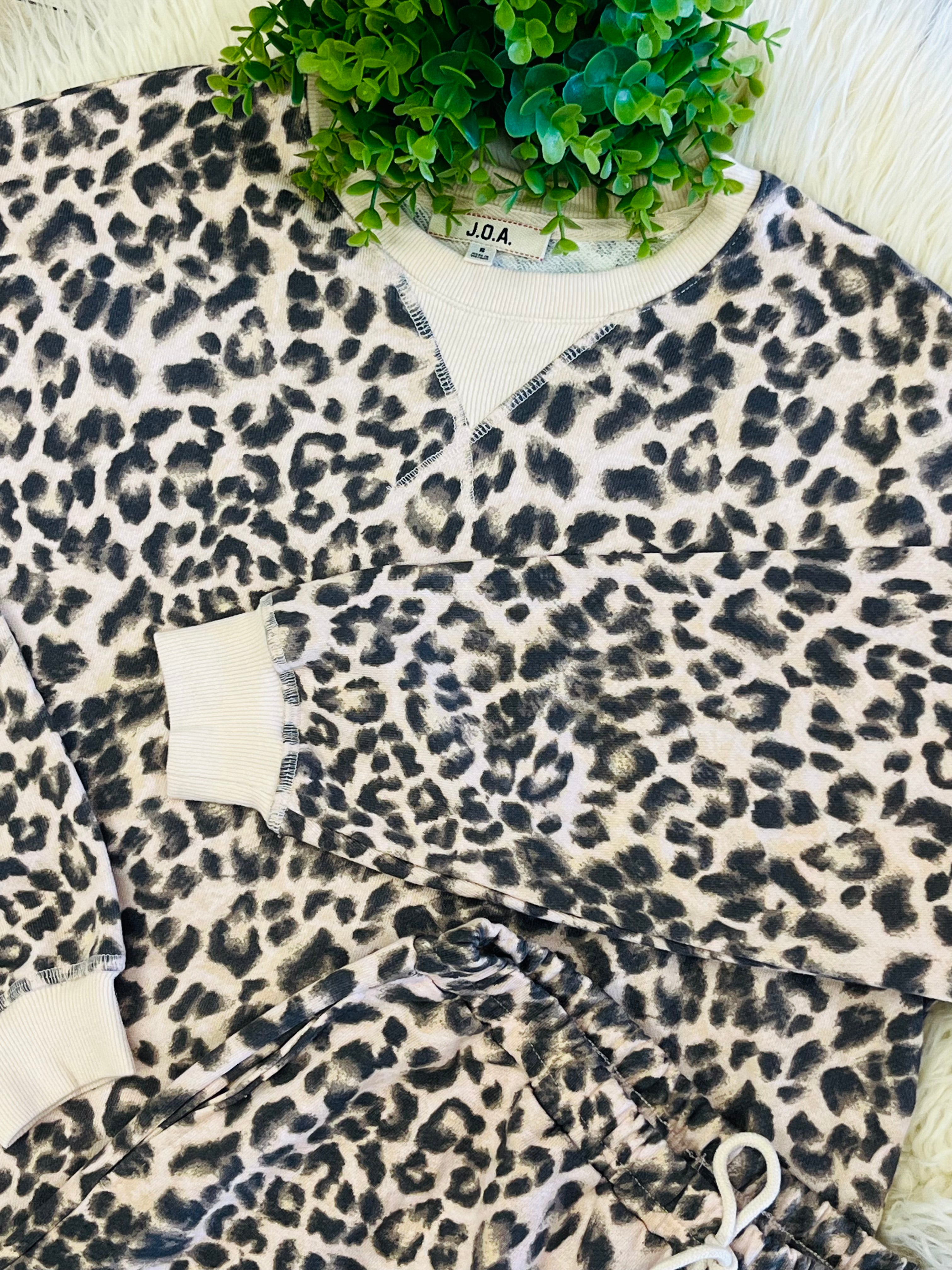 Women’s Leopard Print Two Piece Set