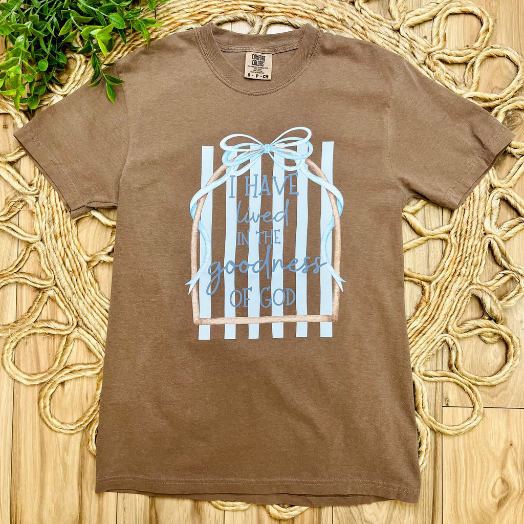 Women’s Brown Goodness of God Tee