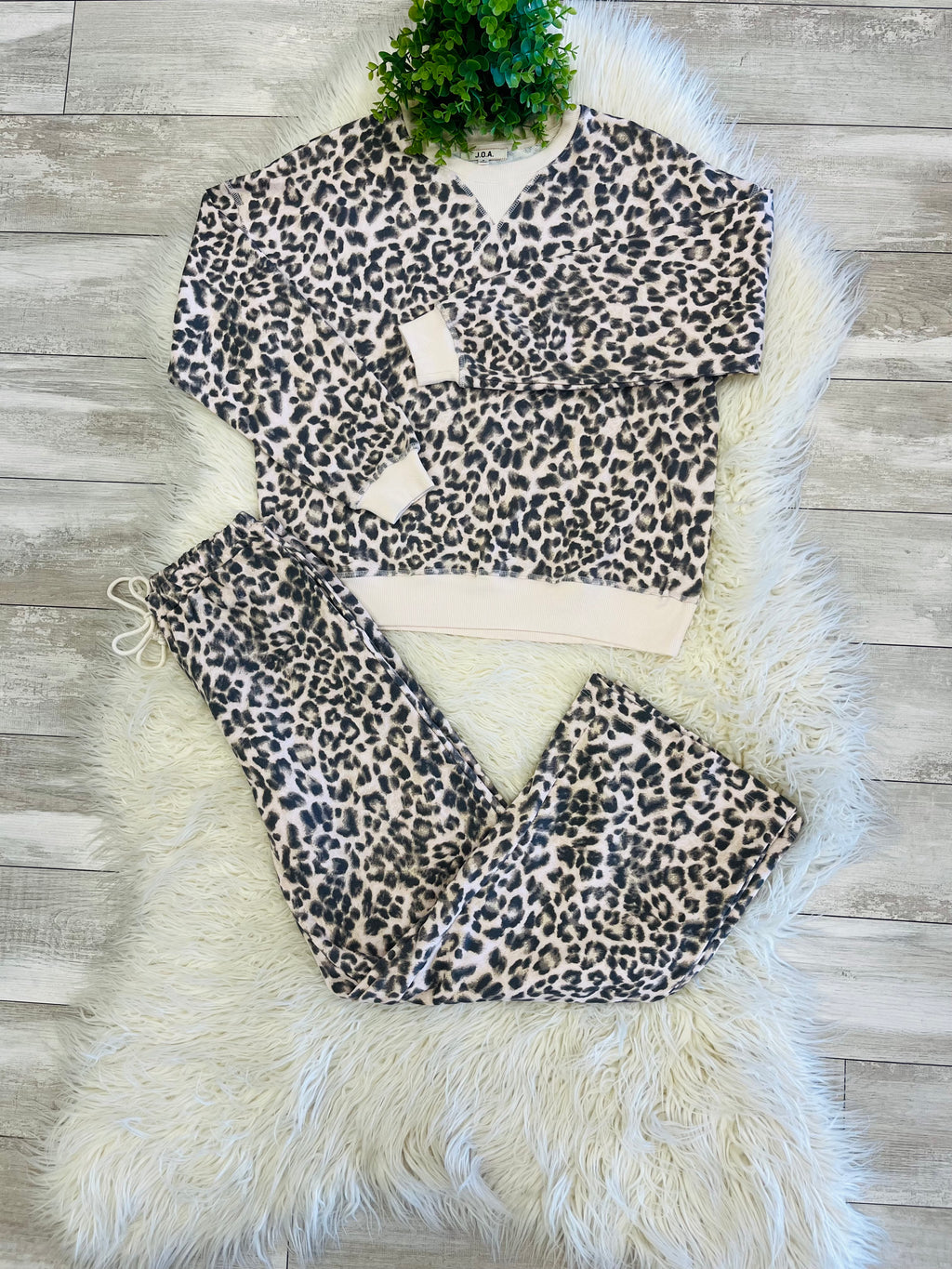 Women’s Leopard Print Two Piece Set