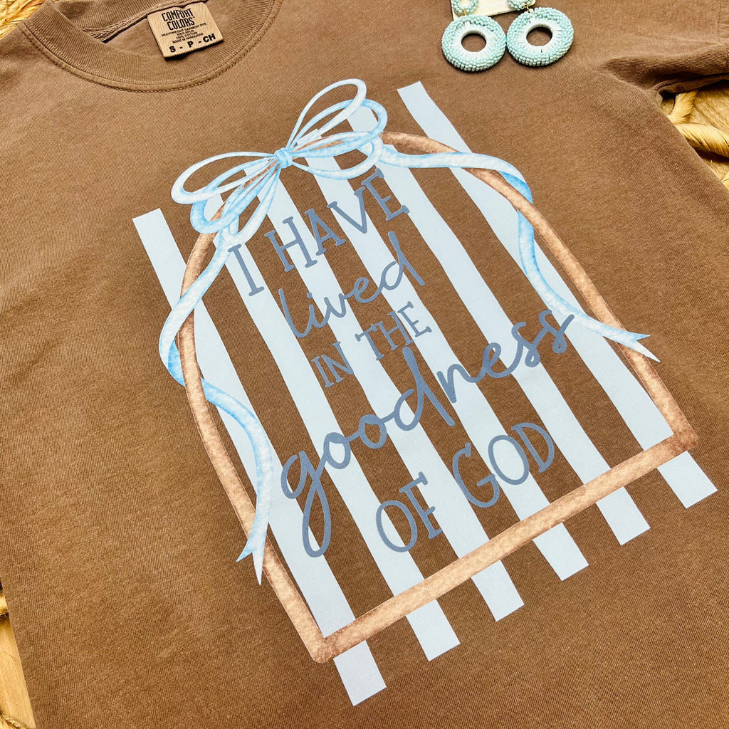 Women’s Brown Goodness of God Tee