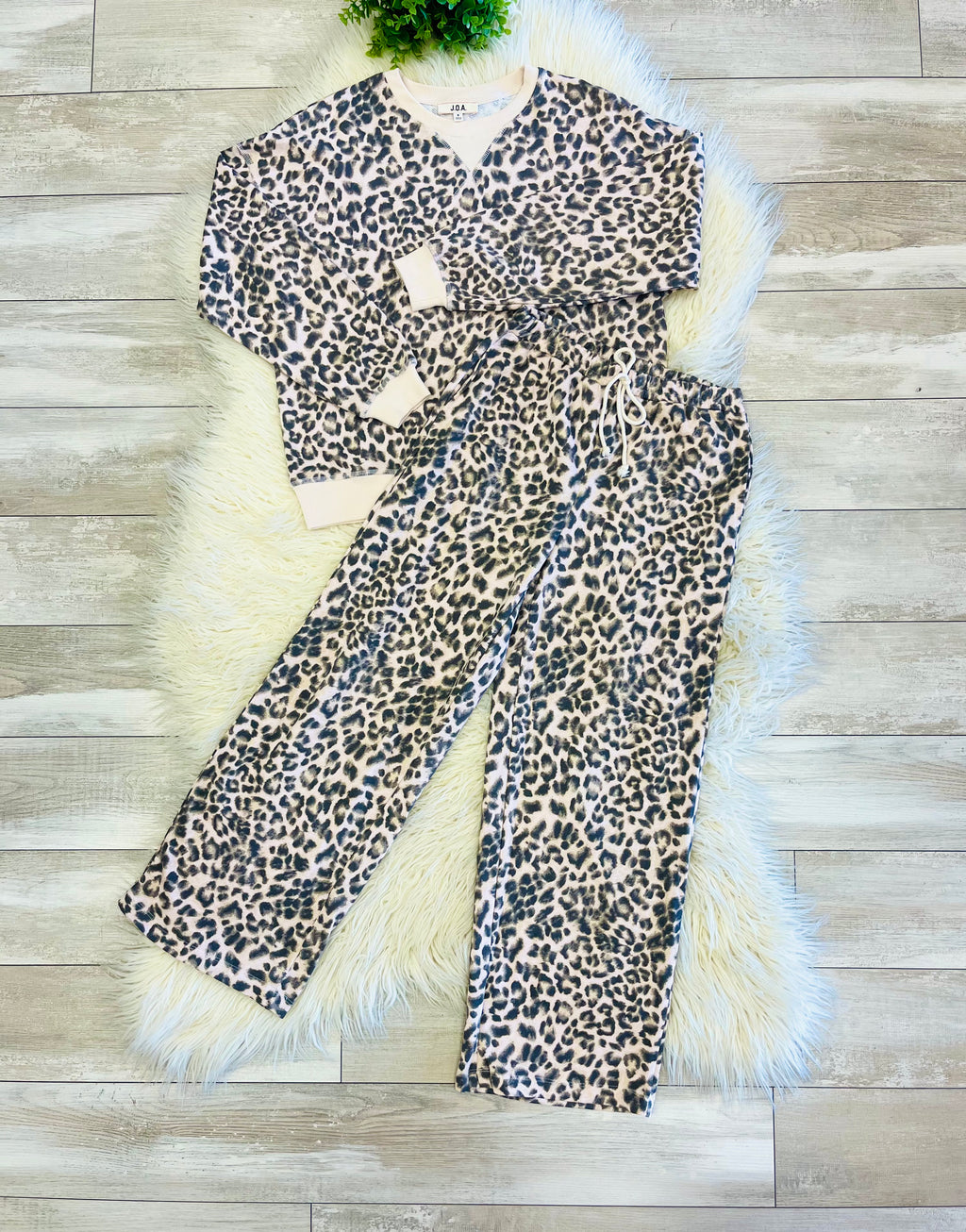 Women’s Leopard Print Two Piece Set