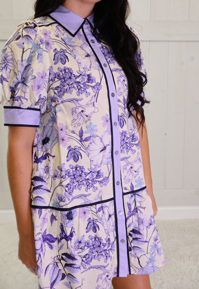 Entro Blueberry Button Collar Dress