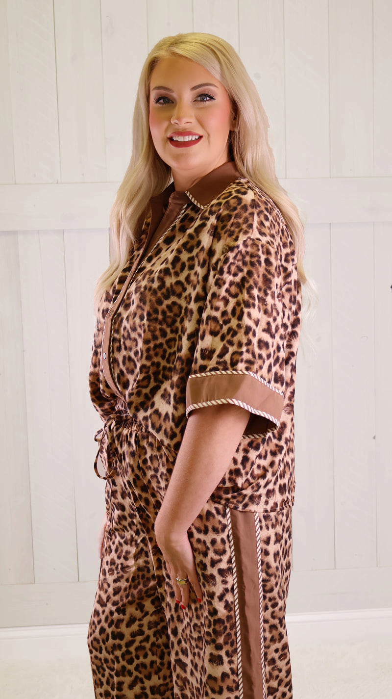 Entro Brown Cheetah Pant set