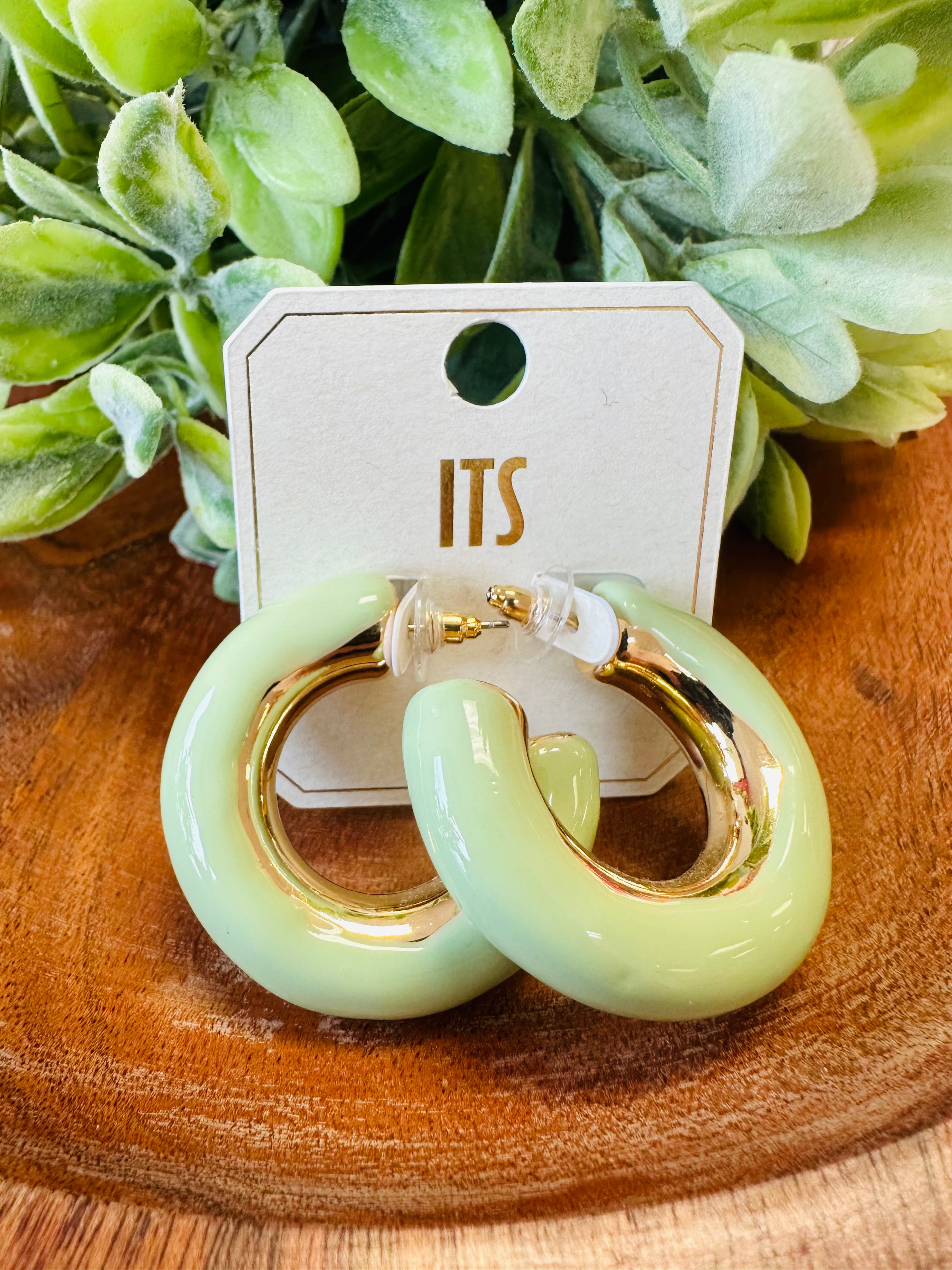 Women’s Sage and Gold Chunky Hoops Earrings