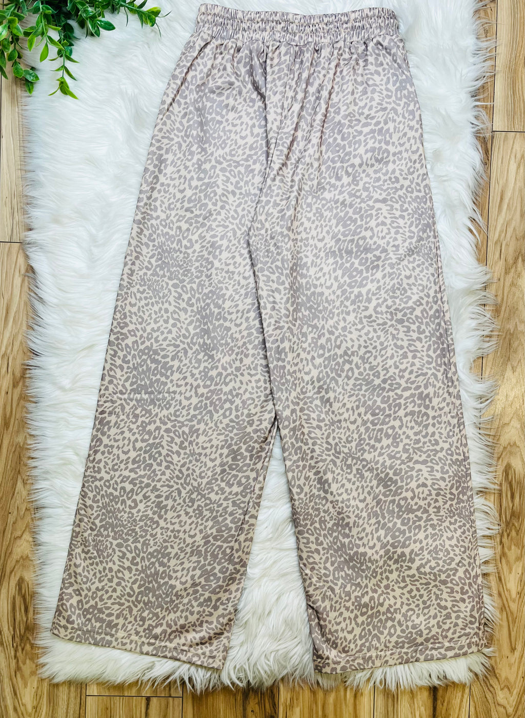 Women’s Evermmee Star Leopard Pant Set- True to Size