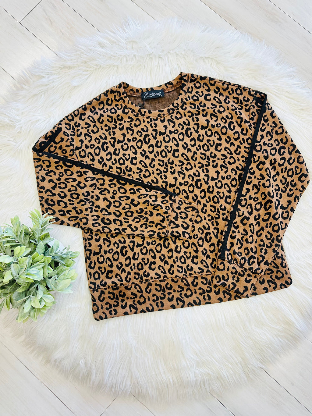 Women’s Cheetah Print Brown and Black Pant Set