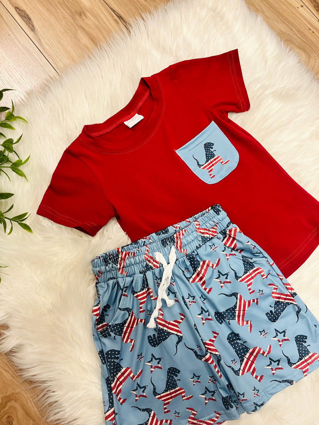 Boy’s American Flag Dinosaur Short Set