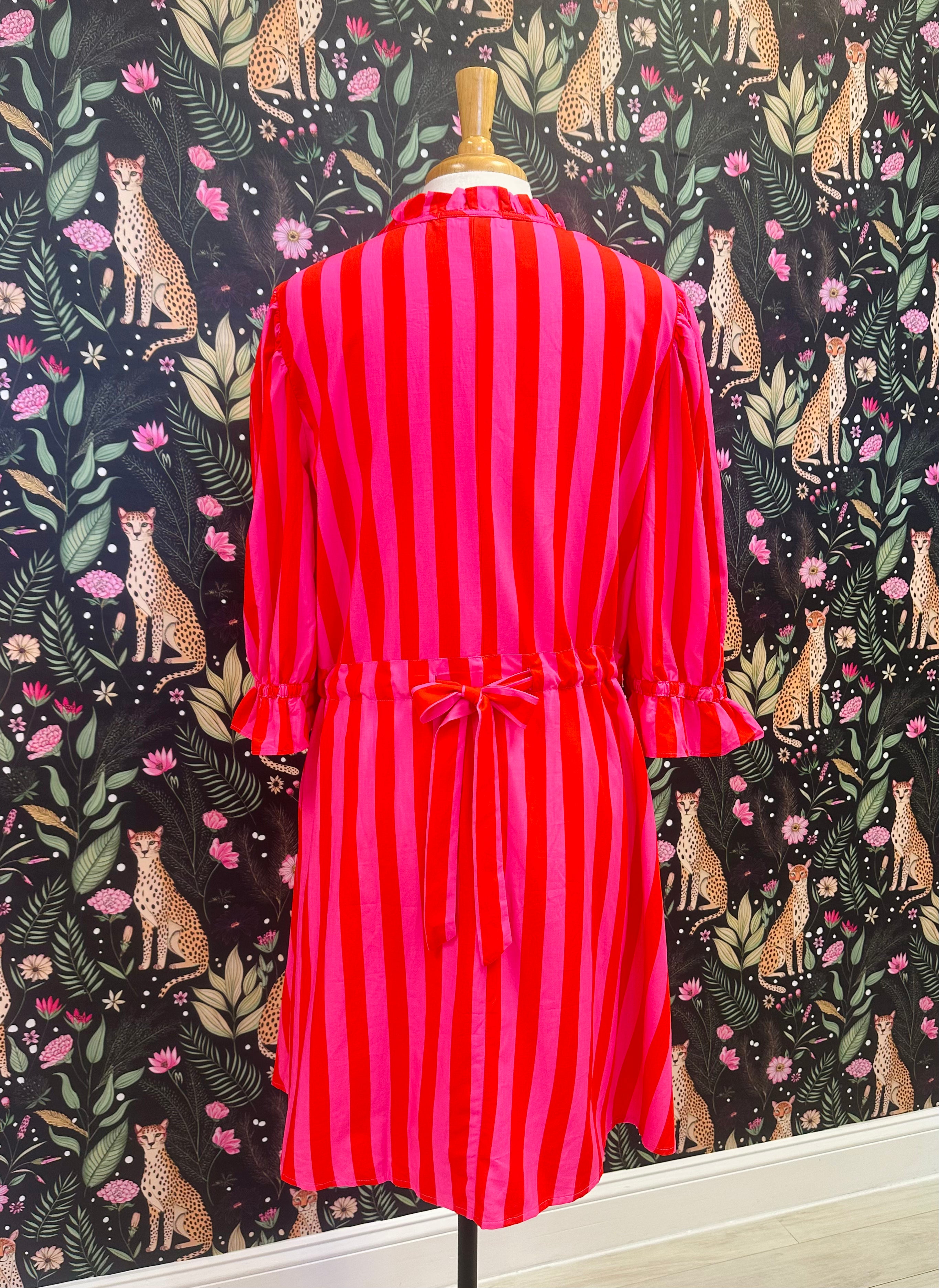 Women’s Evermmee Curvy Red and Pink Stripe Dress with Pockets