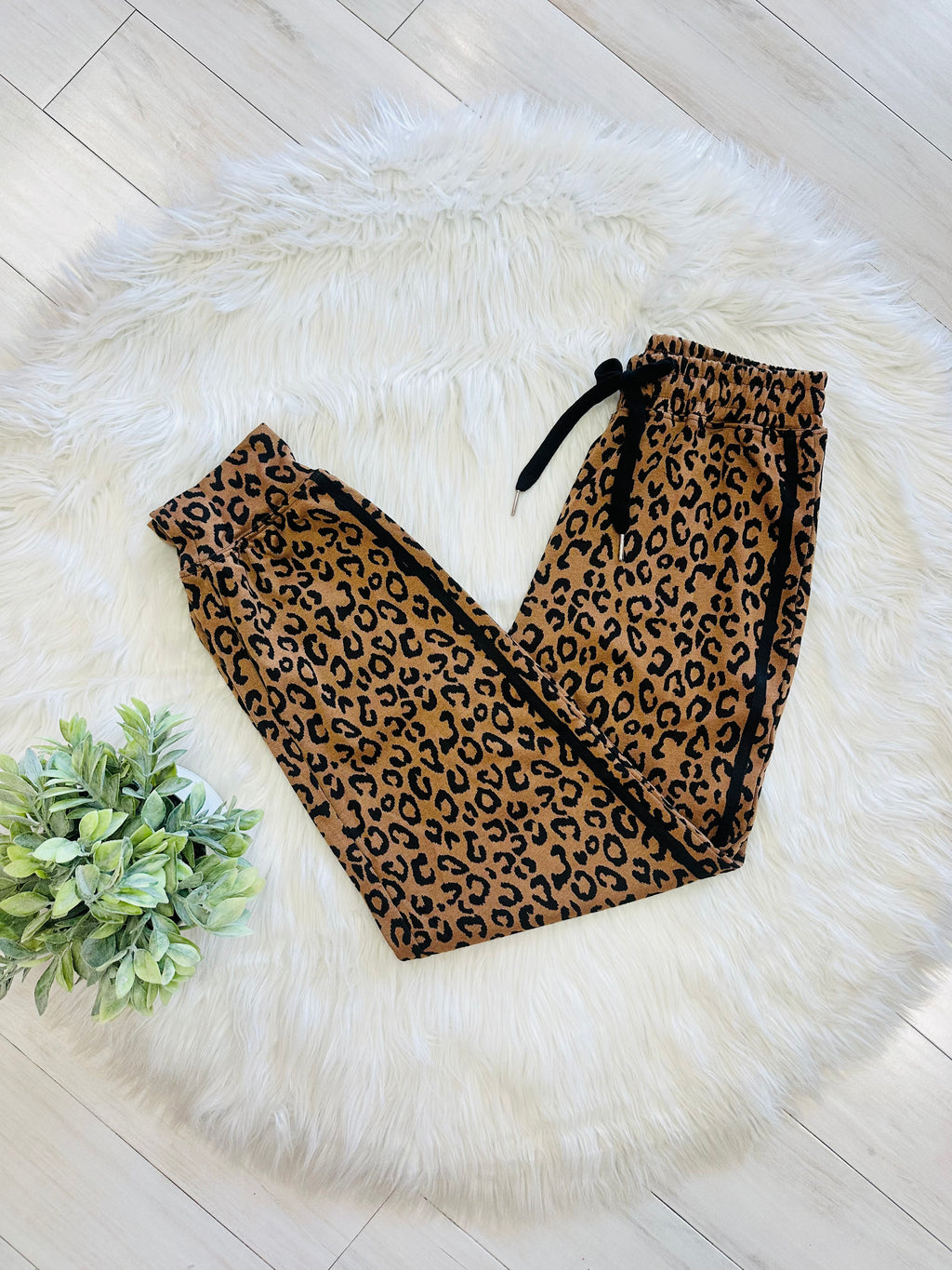 Women’s Cheetah Print Brown and Black Pant Set