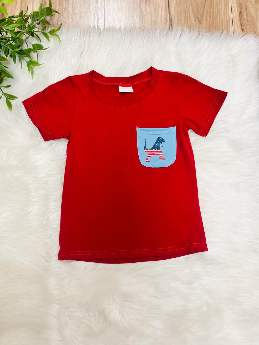 Boy’s American Flag Dinosaur Short Set