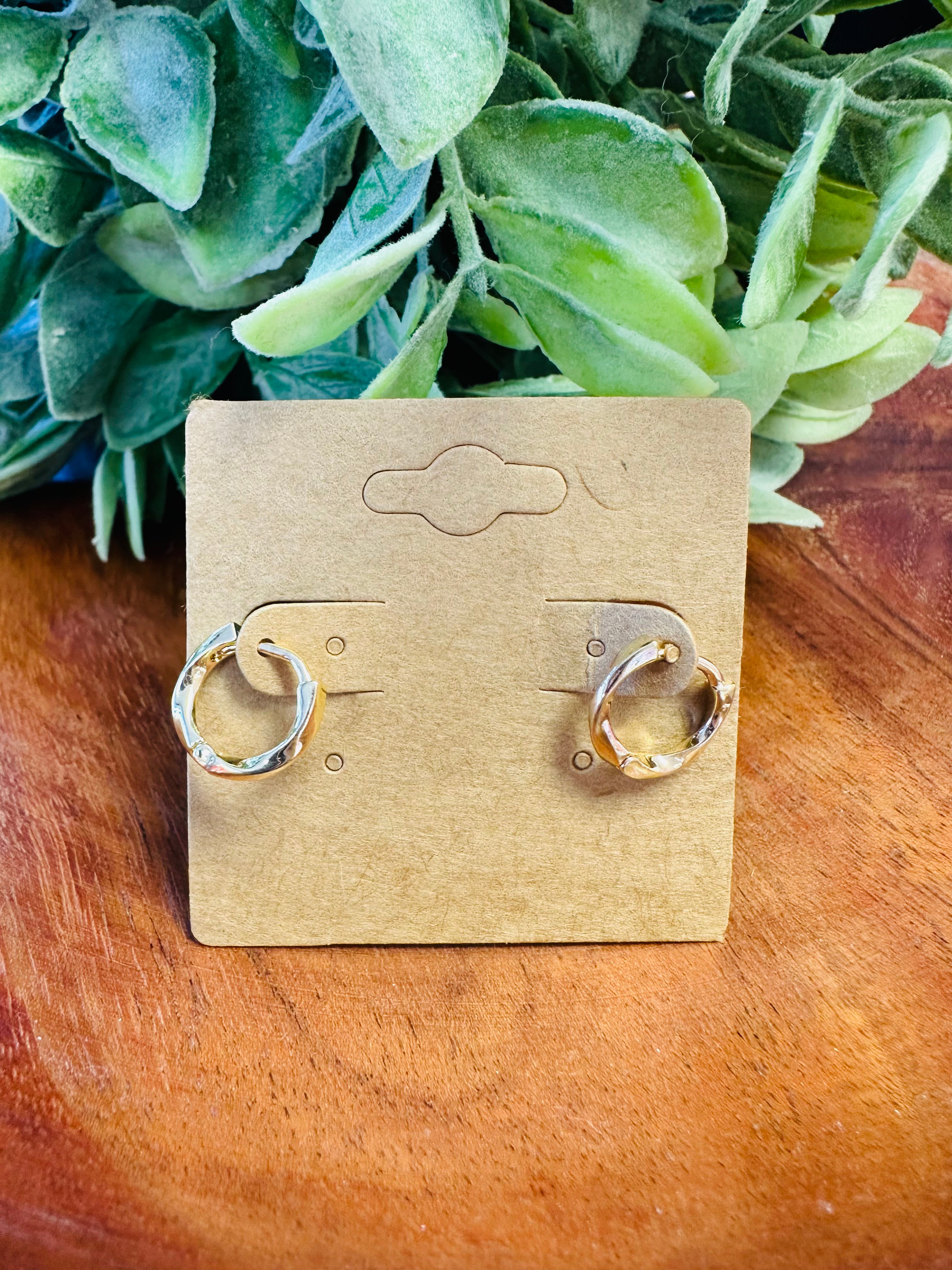 Small Gold Hoops