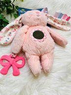 Itzy Ritzy Pink Bunny Traveler