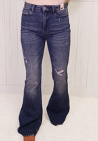 Judy Blue Jeans 8383 Regular and Curvy