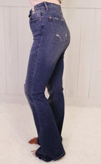 Judy Blue Jeans 8383 Regular and Curvy