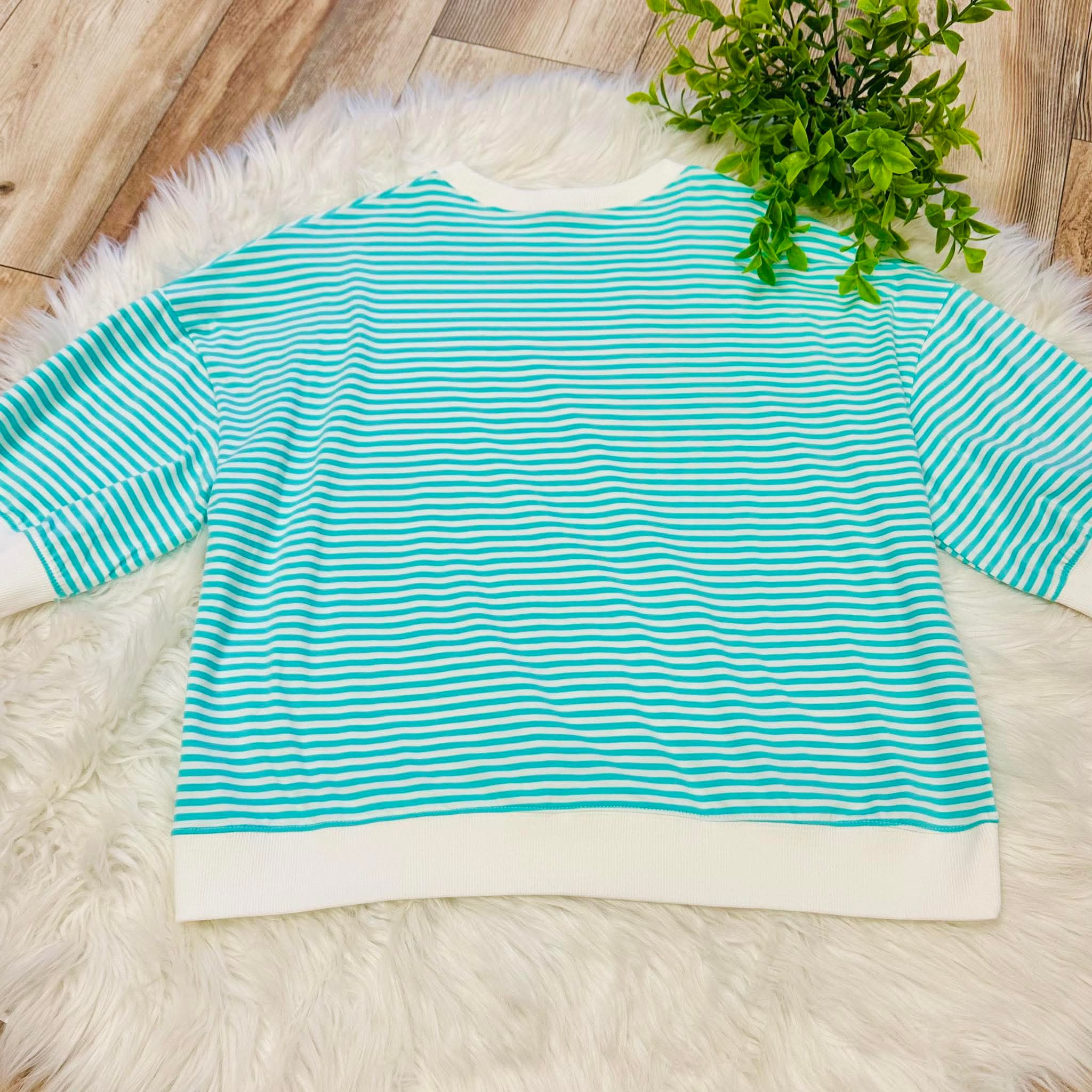 Women’s Mint Stripe Puff Sleeve Top