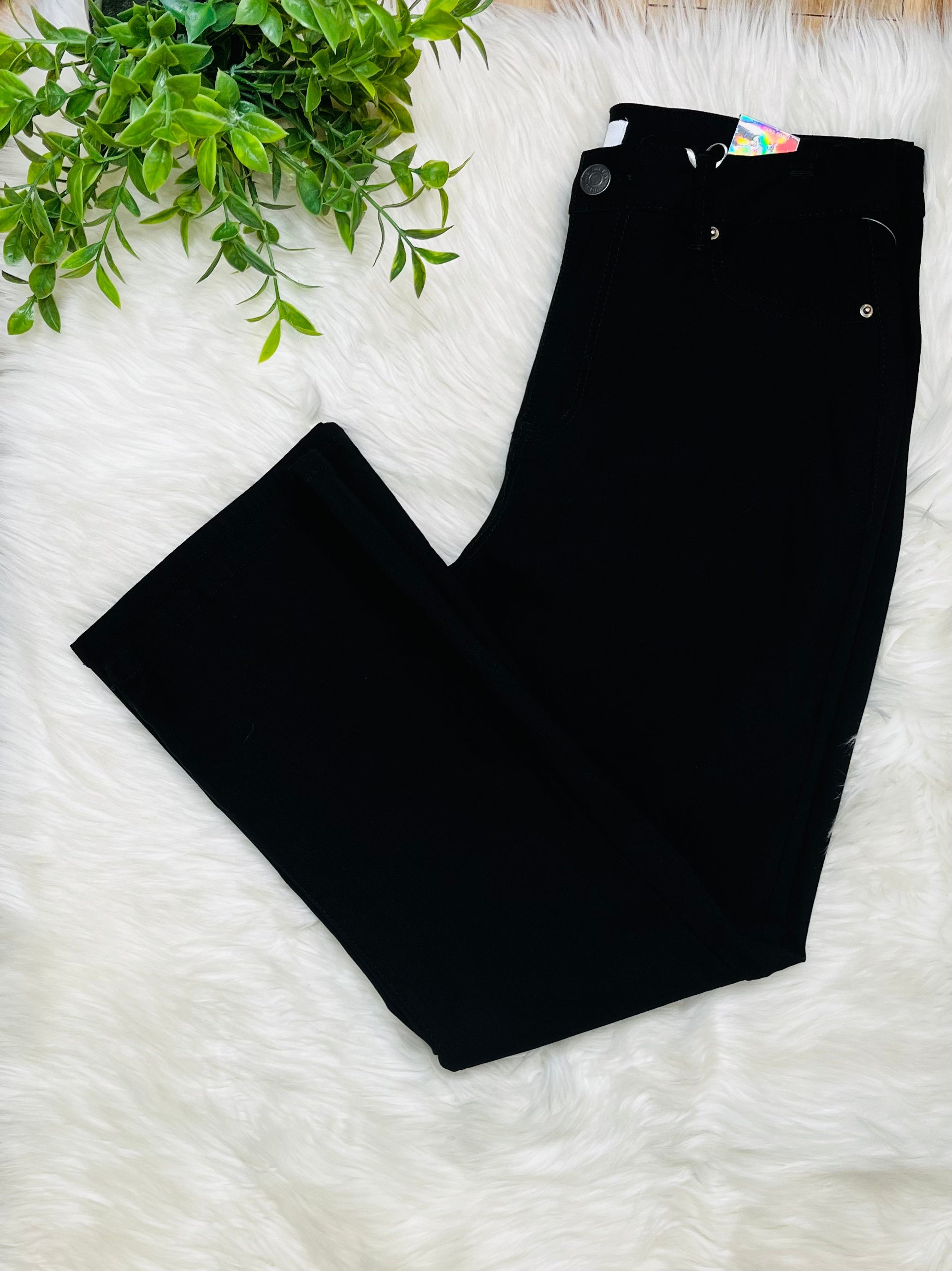 YMI Curvy Black Jeans