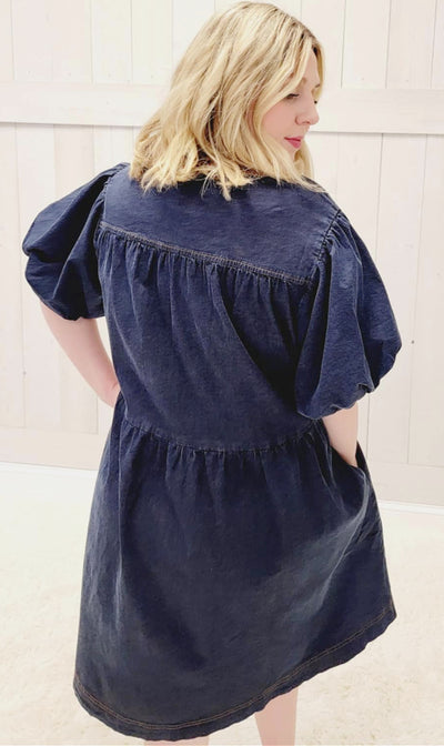 Dark Denim Plus Size Dress