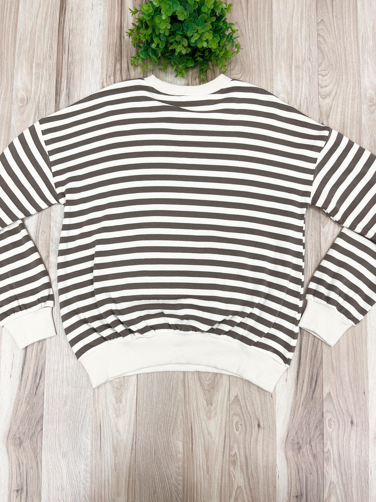 Cream & Brown Striped - Women’s Blouse Top - by Zenana - True to Size