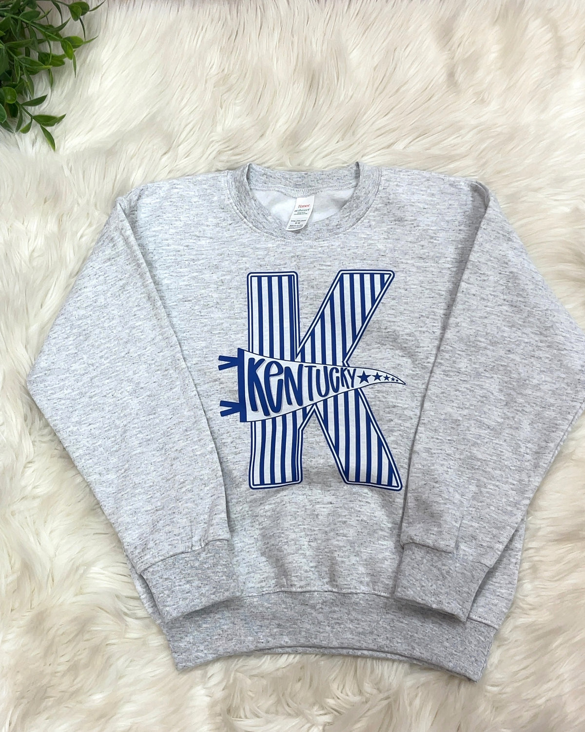 Kentucky Stripe Banner - Girls Sweatshirt Top - by Hanes - True to Size